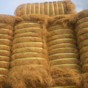 PT GATRA PANCA UTAMA-Cocofiber