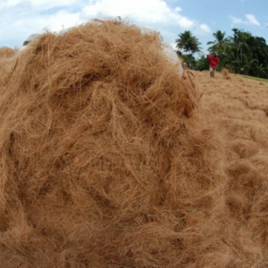 PT GATRA PANCA UTAMA-Cocofiber