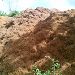 PT GATRA PANCA UTAMA-Cocopeat