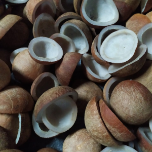 PT GATRA PANCA UTAMA-kelapa2