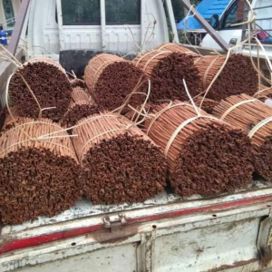PT GATRA PANCA UTAMA-rempahrempah2