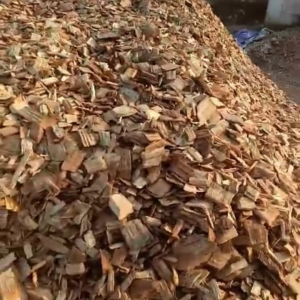 PT GATRA PANCA UTAMA-woodchips2 (2)