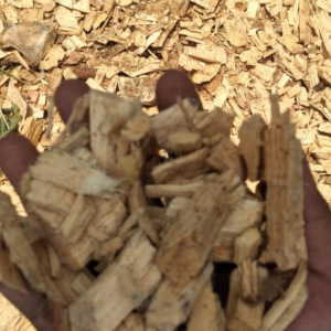 PT GATRA PANCA UTAMA-woodchips3