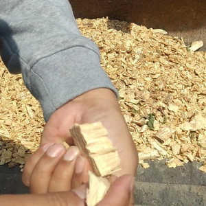 PT GATRA PANCA UTAMA-woodchips4